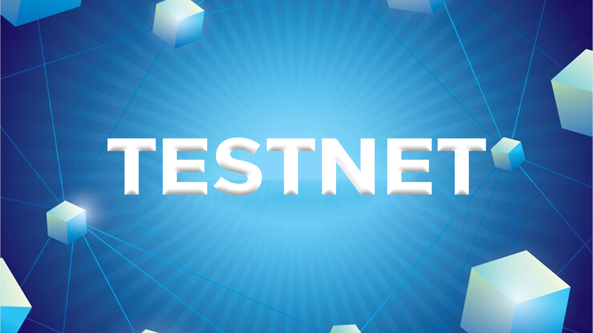What is Testnet? Why is it Used in Blockchain?