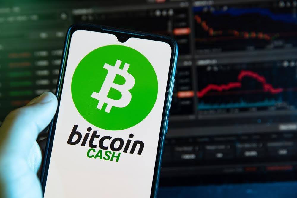 Bitcoin Cash, Ethereum, or Pushd (PUSHD); Crypto analysts back Pushd for higher ROI